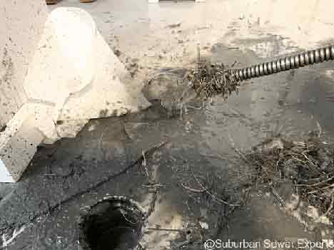 Sewer Line Cleaning | Hinsdale, IL | Suburban Sewer Experts