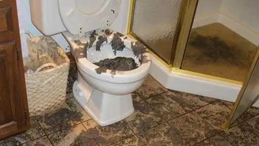 a sewage backup in a home.