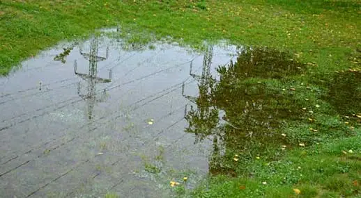 water pooling in your yard could be sewer line problems.