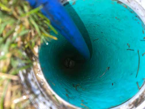 hydro jetting tree roots out of a sewer line.