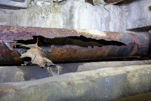 The Expert’s Guide to Sewer Line Care