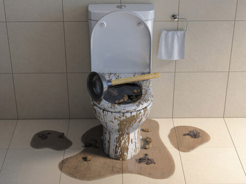 a toilet that has sewer backup